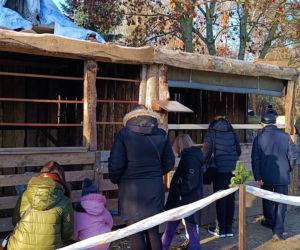 Żywa szopka w Żydowcach