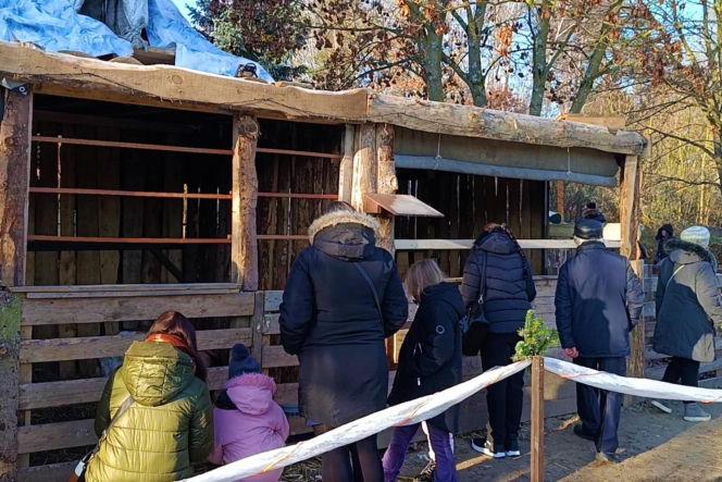 Żywa szopka w Żydowcach