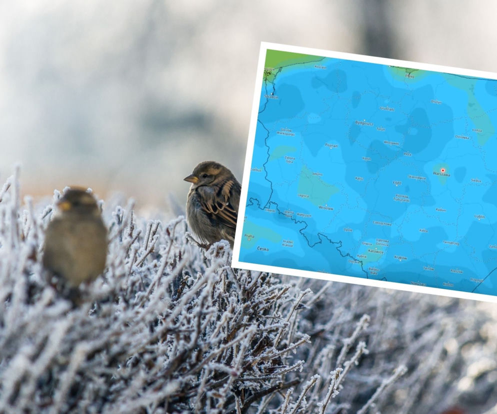 FATALNA POGODA na Wielkanoc 2022. Synoptycy zapowiadają śnieg, przeszywający chłód i porywisty wiatr