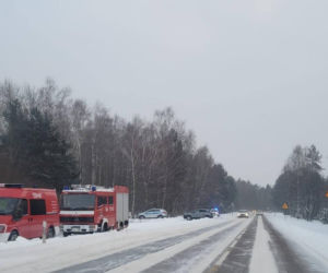 Tragiczna śmierć Emilii K. pod Włodawą. Wciąż więcej pytań niż odpowiedzi