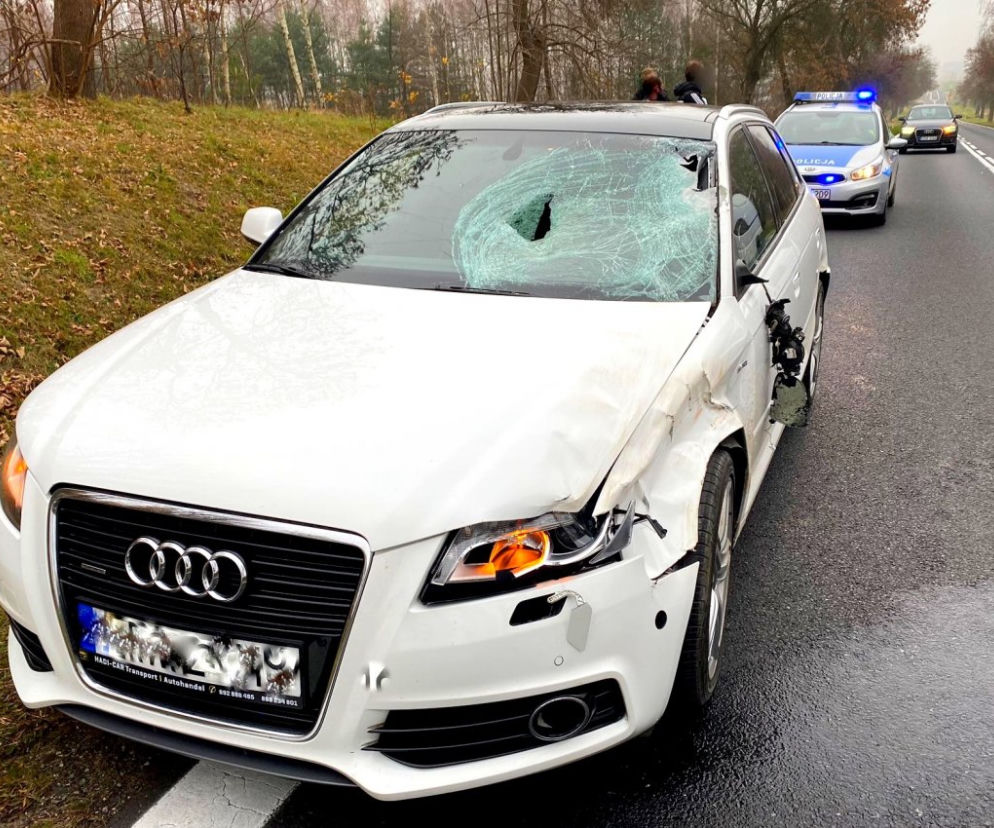 Nie udało się ominąć jelenia na drodze