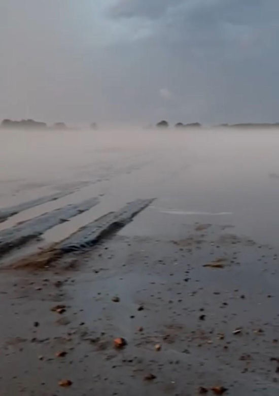 Zniszczone plantacje warzyw i owoców na Dolnym Śląsku. "To był prawdziwy armagedon" 