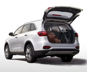 Kia Sorento FL