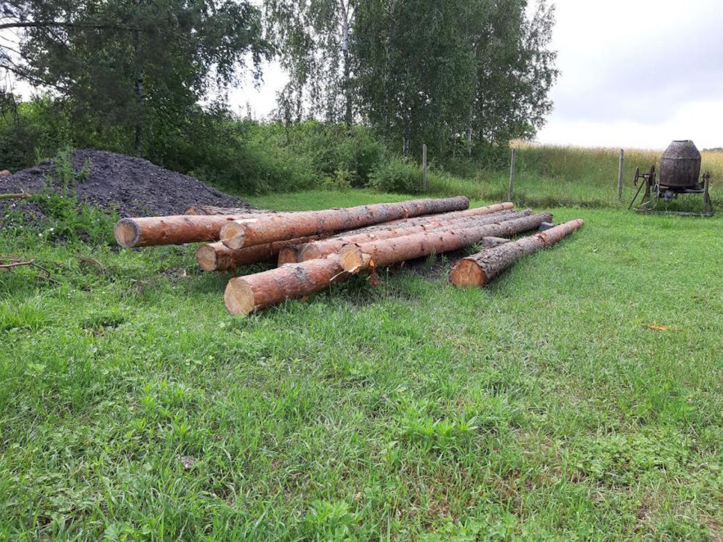 Ukradł drewno i rozstrzelał sołtysa
