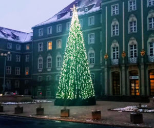 Miejska choinka rozbłysła przed szczecińskim magistratem