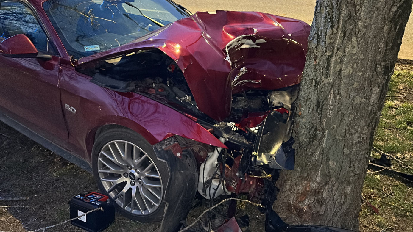 Roztrzaskał się mustangiem na drzewie. Wstrząsający wypadek, kierowca w ciężkim stanie