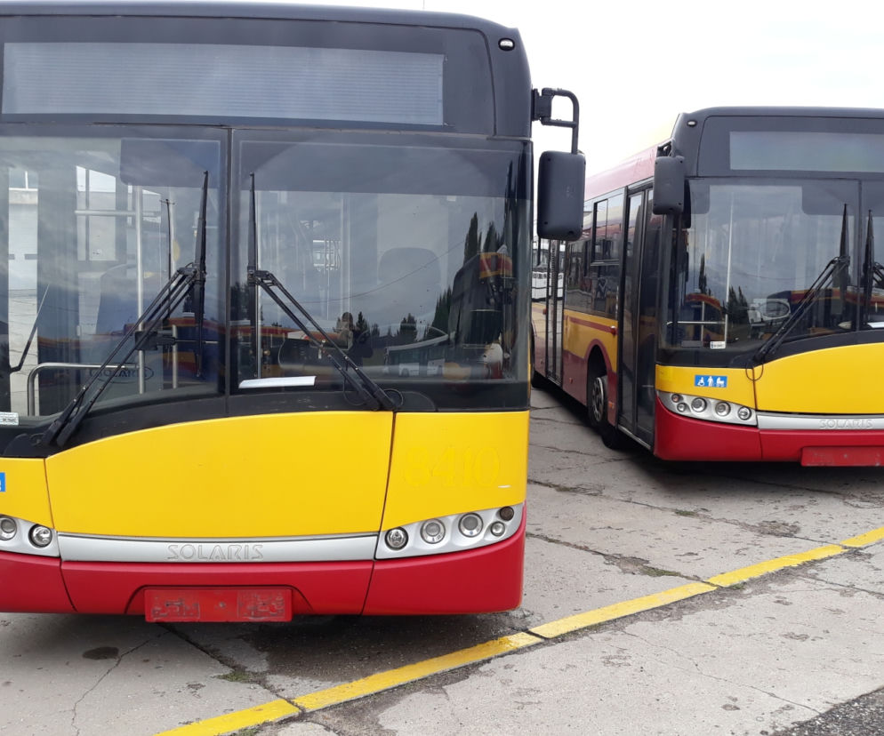 autobusy grudziadz