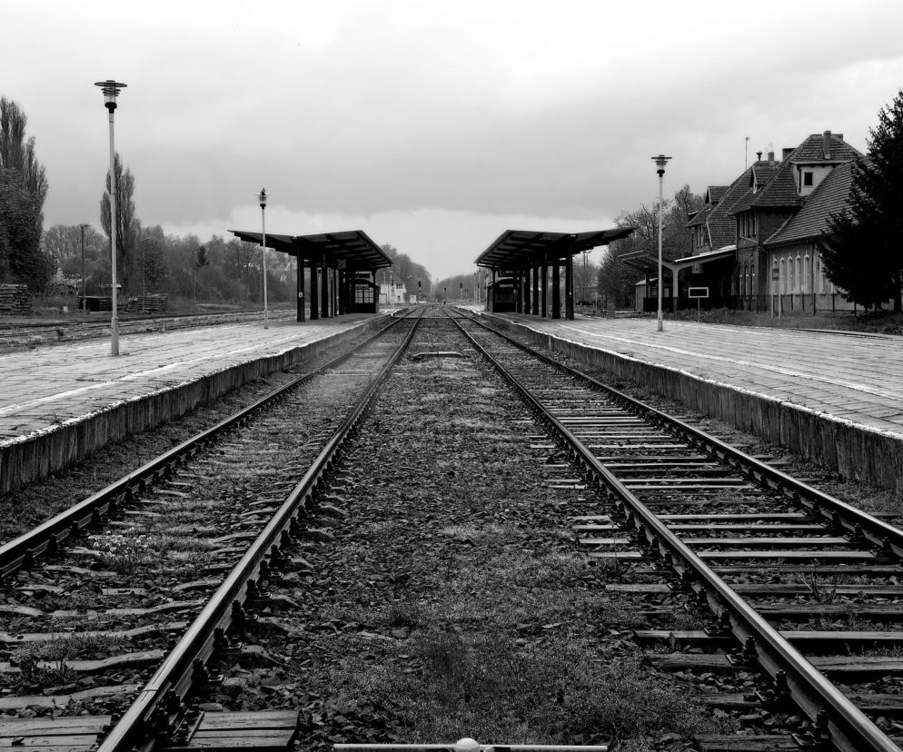 Płock. Szynobus potrącił człowieka! Ciało tak zmasakrowane, że nie można potwierdzić, kim była ofiara