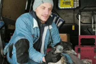 Emu znaleziony w lesie pod Garwolinem