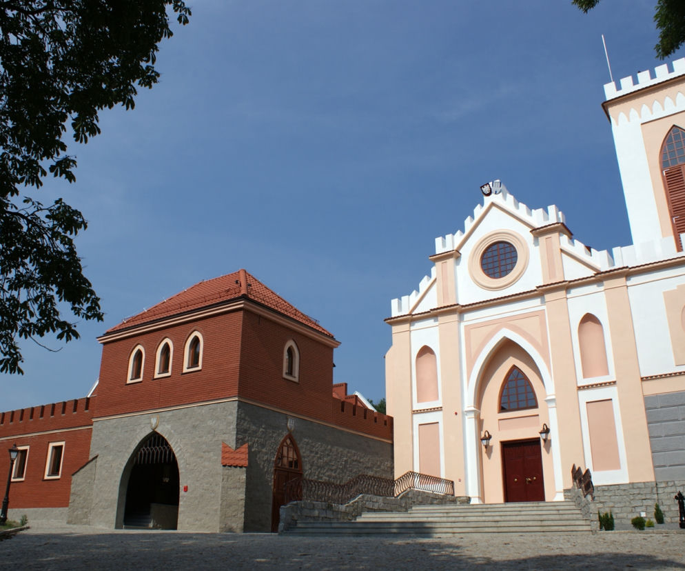Zamek Gostynin