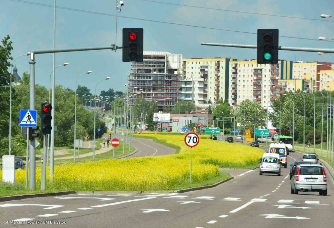 Białystok. Pierwsze łąki już kwitną. W 2020 roku pojawiły się w nowych miejscach