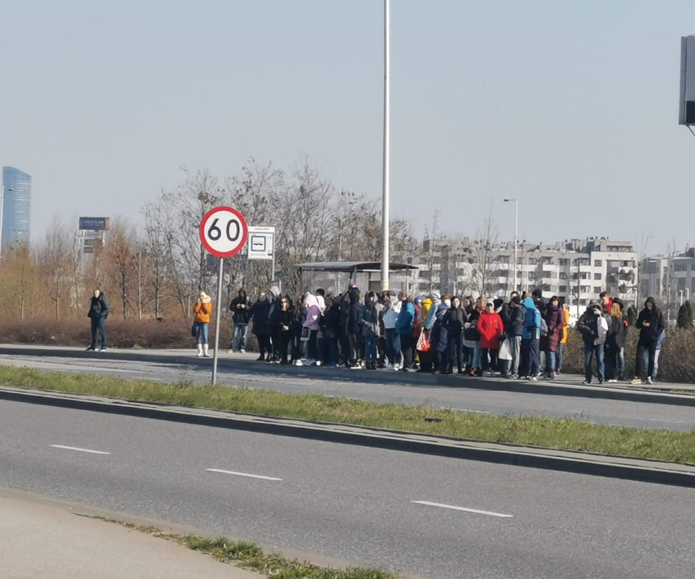 Tłum na przystanku Graniczna