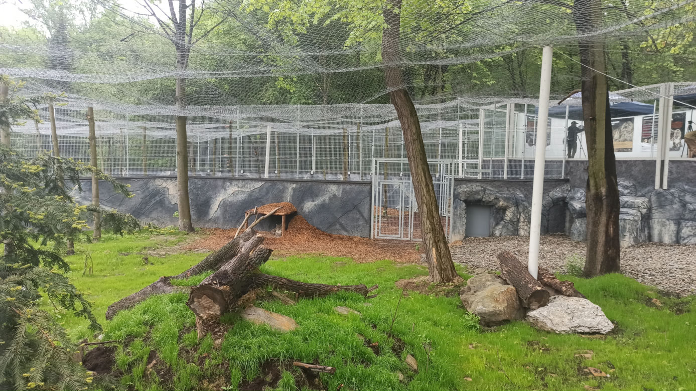 W śląskim ZOO powstała nowa woliera dla panter śnieżnych
