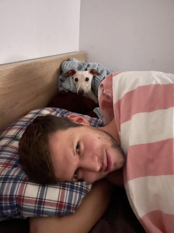 Wszyscy szukają Heńka! Za pomoc wyznaczono nagrodę. "Żeby nikomu nie opłaco się go przetrzymywać"