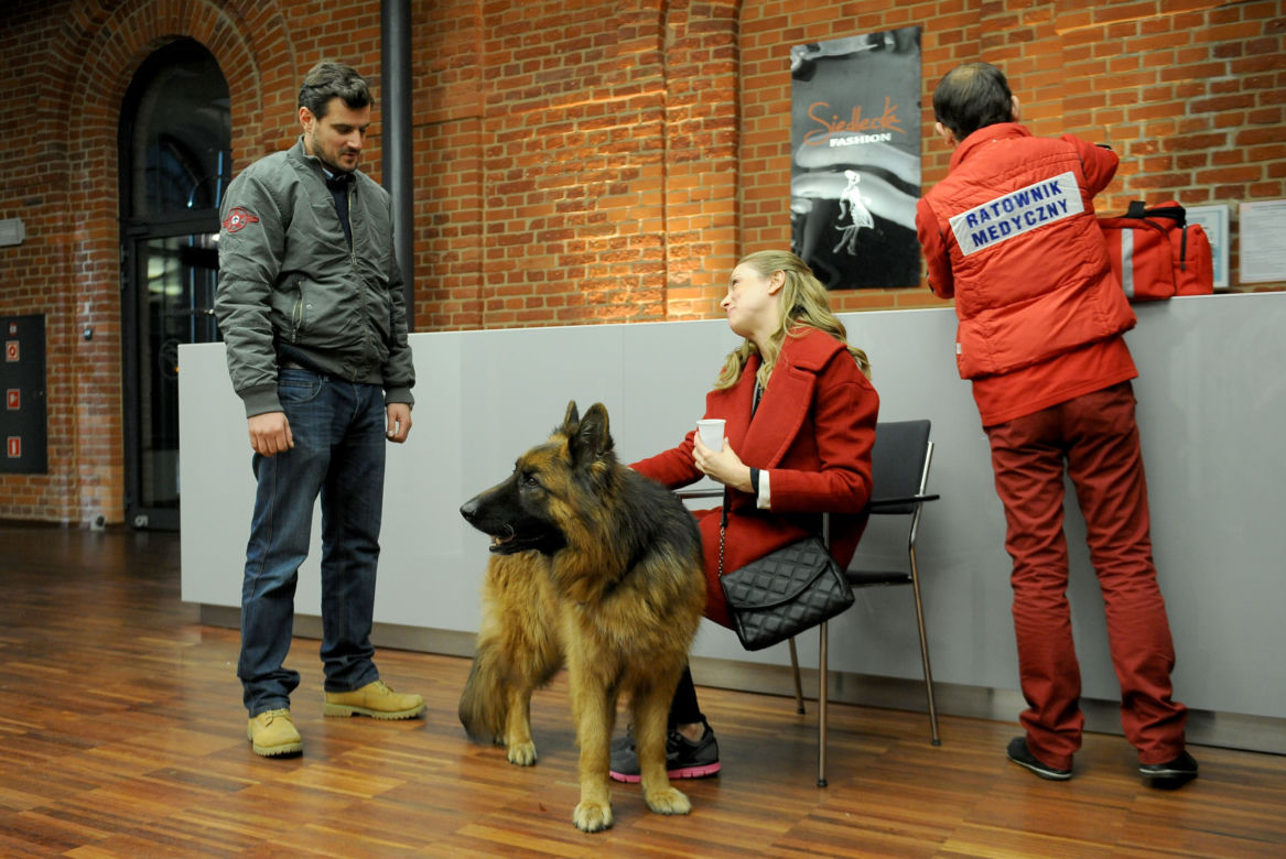 	Komisarz Alex 5 sezon odc. 53. Michał Orlicz (Antoni Pawlicki), Alicja Siedlecka (Natalia Klimas)