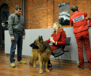 	Komisarz Alex 5 sezon odc. 53. Michał Orlicz (Antoni Pawlicki), Alicja Siedlecka (Natalia Klimas)