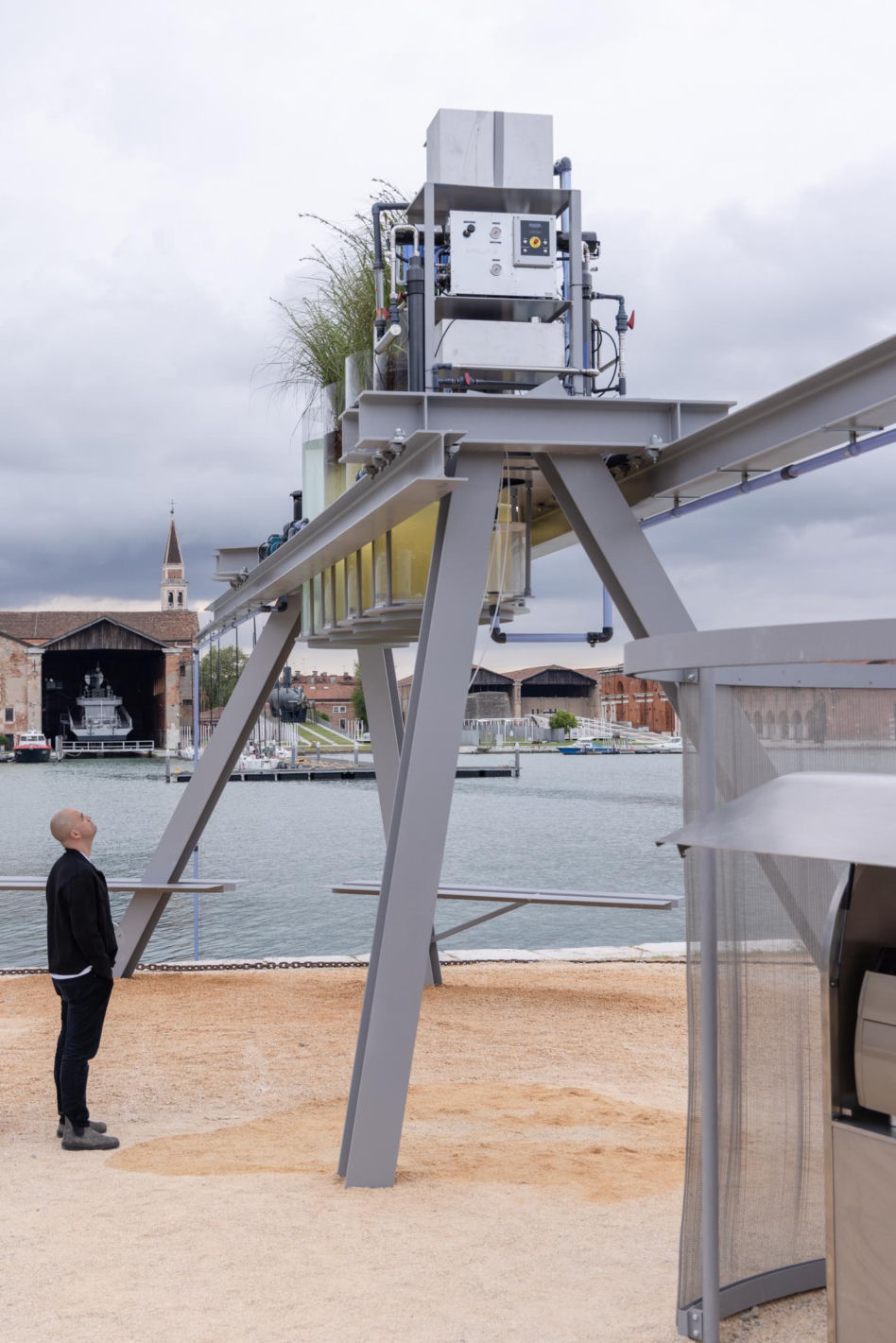 Canal Cafe ze Złotym Lwem - Biennale Wenecja 2025