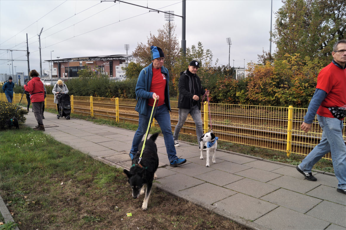 Parada Psów Adoptowanych w Bydgoszczy 2022 [ZDJĘCIA]