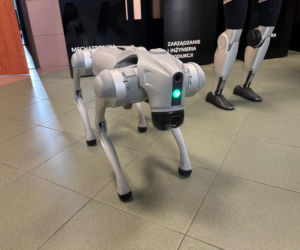 Robot Astro ma zwierzaka. ANS kupiła robo-psa. Programują go studneci [ZDJĘCIA]