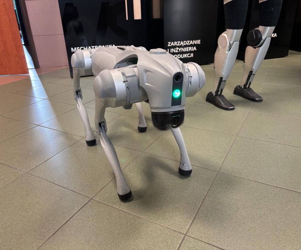 Robot Astro ma zwierzaka. ANS kupiła robo-psa. Programują go studneci [ZDJĘCIA]