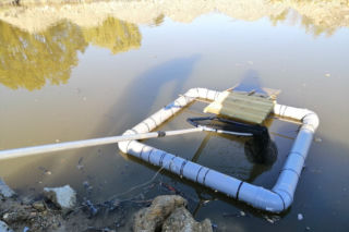 Inwestor chciał żywcem zasypać żółwia. Do akcji ruszył KTOZ [ZDJĘCIA]