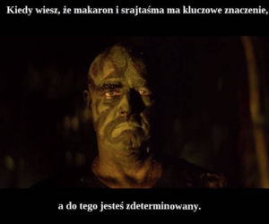 Puste półki w sklepach. MEMY - Polacy szturmują sklepy