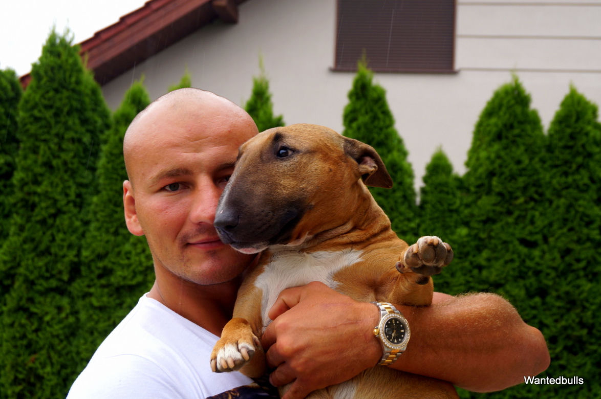 Artur Szpilka