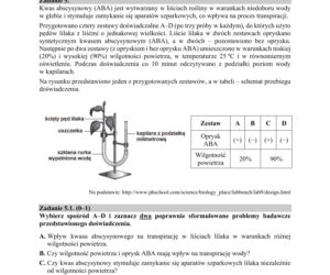 Matura 2019 z biologii [ARKUSZE CKE, ODPOWIEDZI]