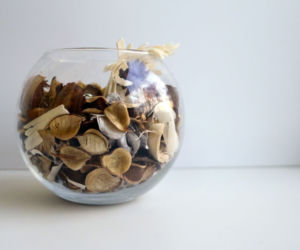 Potpourri 