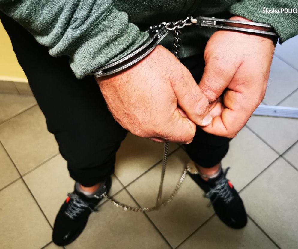 Śląskie: Piękny ogród działkowy krył tajemnicę. Zamiast kwiatów, amfetamina