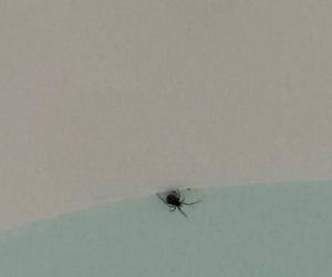 Koszmar Kasi Tusk jak z horroru! Poszła do łazienki, musiała użyć durszlaka