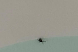 Koszmar Kasi Tusk jak z horroru! Poszła do łazienki, musiała użyć durszlaka