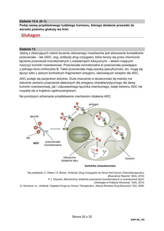 Matura 2025: biologia 9.05.2025. Arkusze CKE i odpowiedzi [Formuła 2015]