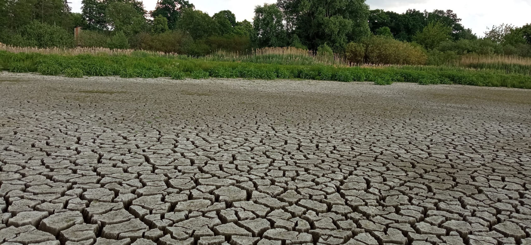 Wyschnięte jezioro w Skrzatuszu pod Piłą