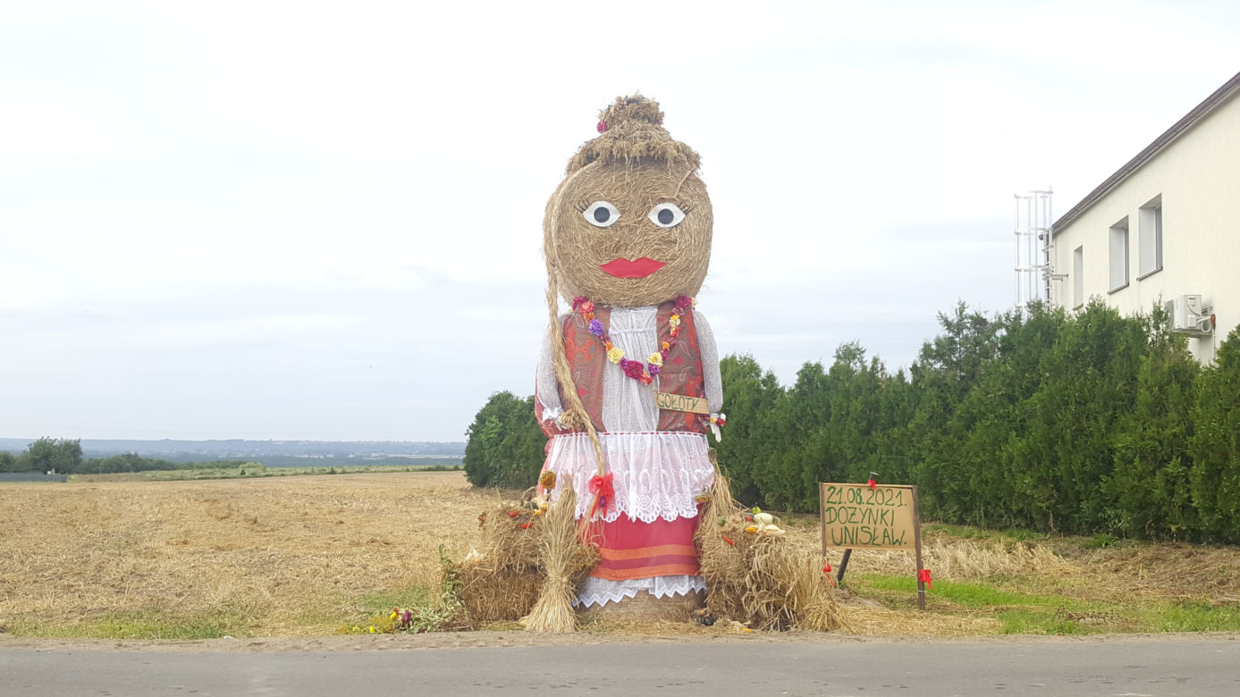 W okolicach Bydgoszczy pojawiły się witacze