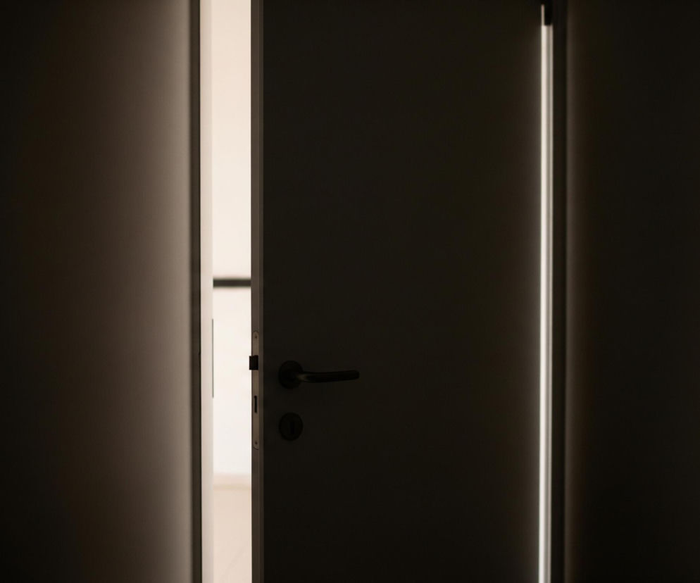 Uchylone drzwi w ciemnym pomieszczeniu zajmujące większość kadru. Po prawej stronie widoczny jest czarny uchwyt klamki i zamek, a na lewo od nich jasna szczelina wiodąca do oświetlonego wnętrza. Dolna część pomieszczenia za drzwiami, jest jasnobeżowa. Główna płaszczyzna drzwi po lewej stronie uchylenia, jest jasnoszara, podczas gdy główna płaszczyzna drzwi po prawej stronie uchylenia, jest bardzo ciemnobrązowa.