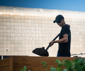 Miejska farma i ekowarsztaty - Galeria Katowicka wypuszcza zieleń w miasto