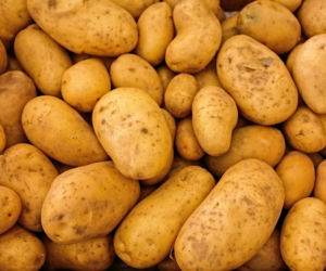Od 1 lutego te produkty potanieją! Wszystko przez 0 proc. VAT na żywność
