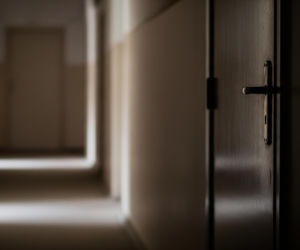 Kraków: Znęcanie nad królikiem. 21-latek zatrzymany, ale co znaleziono w jego mieszkaniu?