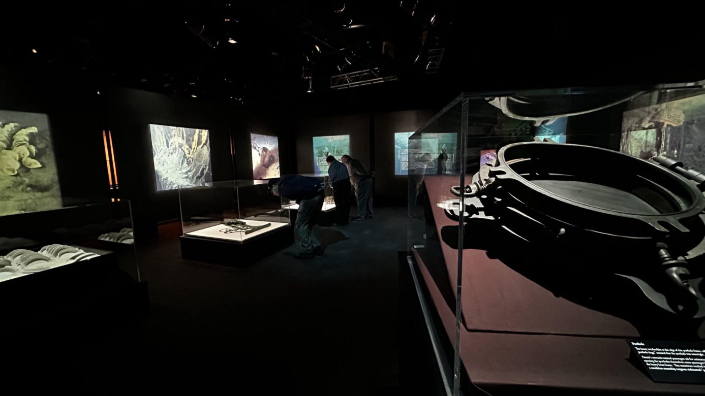 Wystawa "TITANIC: The Artifact Exhibition"