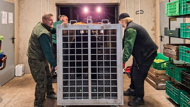 Mieszkaniec Częstochowy trzymał niedźwiedzia w niewoli. Trafił do zoo w Poznaniu