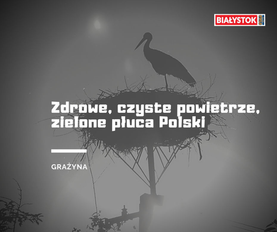 Z czego słynie woj. podlaskie? Odpowiedzi Internautów