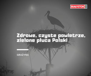 Z czego słynie woj. podlaskie? Odpowiedzi Internautów