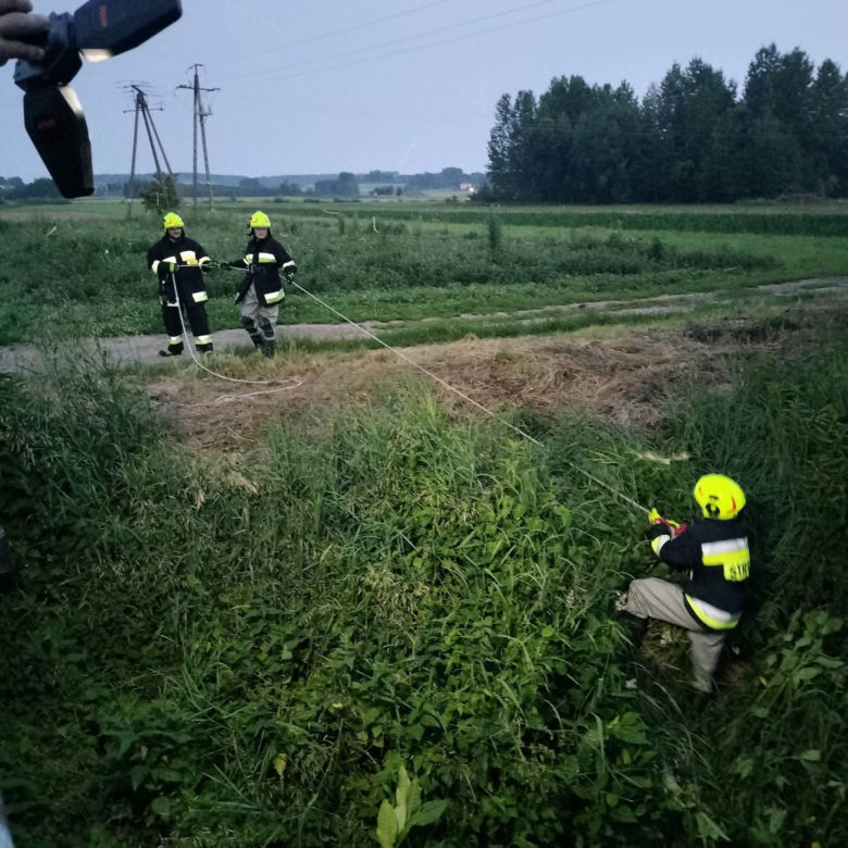 Strażacy wyciągnęli kota z rzeki
