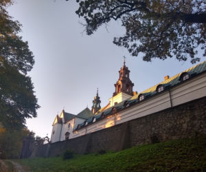 Złota jesień na kieleckiej Karczówce. Aż chce się iść na spacer!
