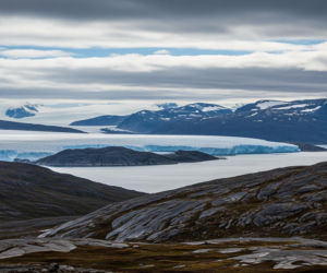 Aneksja Grenlandii a NATO. Czy pomysł Trumpa rozbije sojusz?