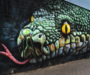 Przy ul. Mieszka I w Siedlcach można podziwiać całą galerię murali i graffiti