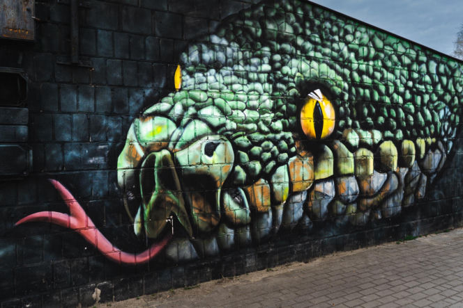 Przy ul. Mieszka I w Siedlcach można podziwiać całą galerię murali i graffiti