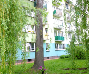 Cud w Parczewie? Modlitwy przy niezwykłym wizerunku. Bóg chce nam coś powiedzieć