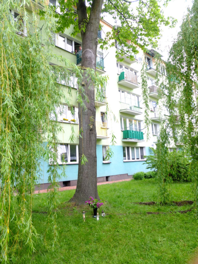 Cud w Parczewie? Modlitwy przy niezwykłym wizerunku. "Bóg chce nam coś powiedzieć"